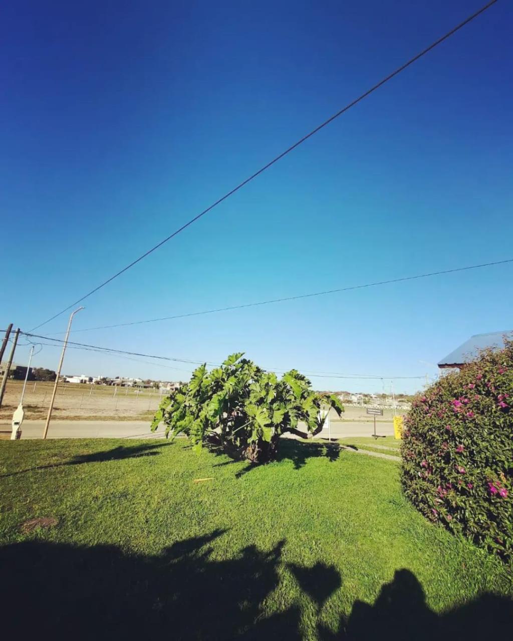Don Chula Federacion